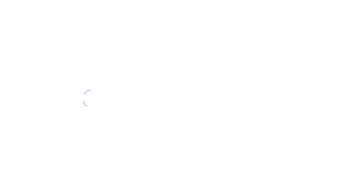 logo.png